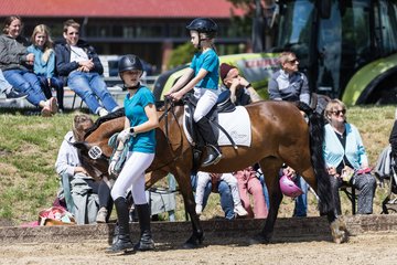 Bild 75 - Pony Akademie Turnier
